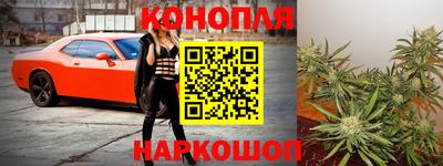 гашик Лесосибирск