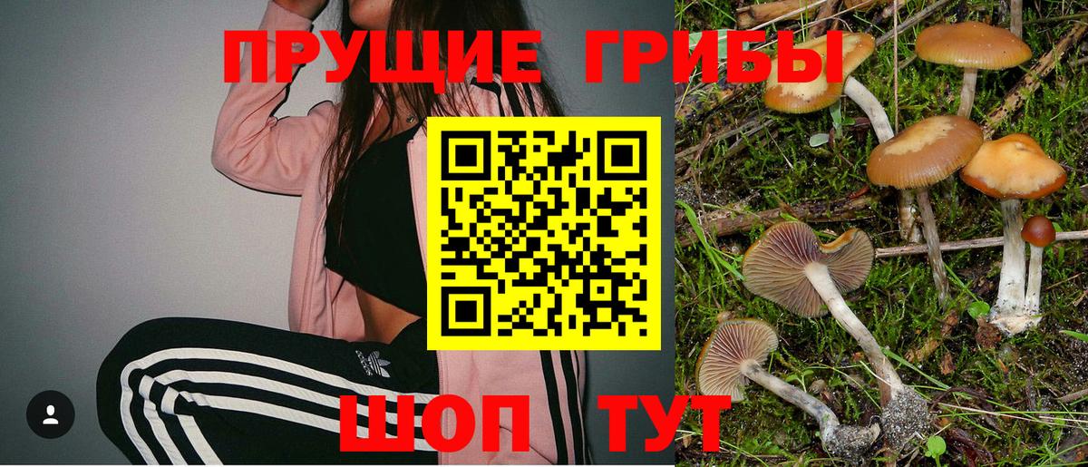 Псилоцибиновые грибы MAGIC MUSHROOMS  Вход с VPN  Южноуральск 